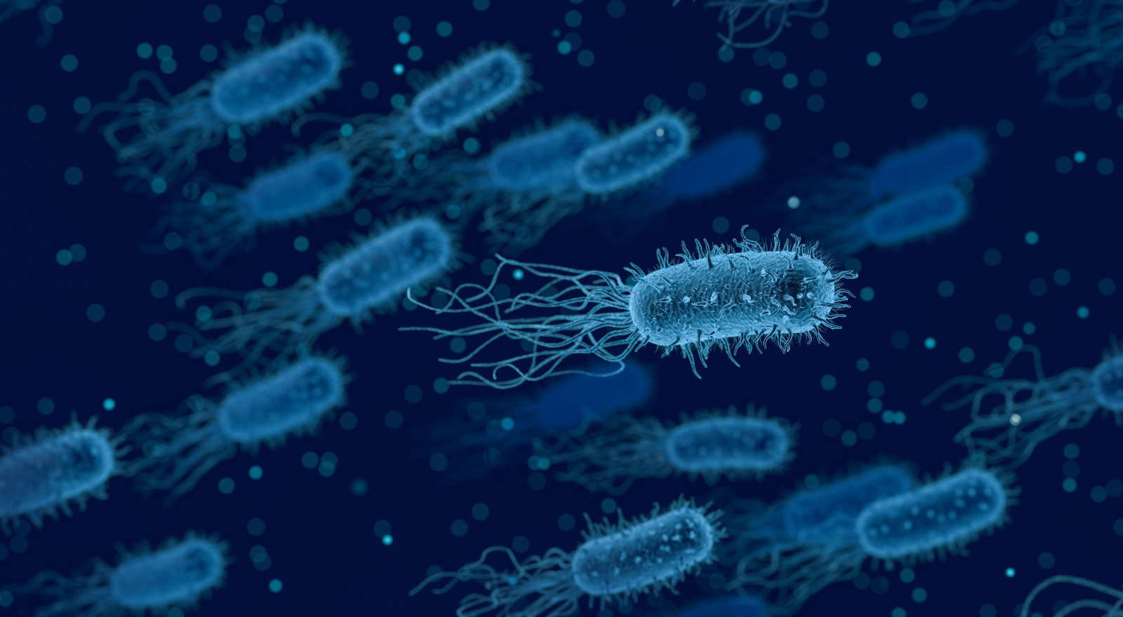 Bactria jako symbol chorób wenerycznych przenoszonych drogą płciową